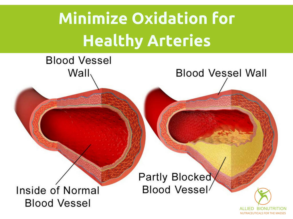 Minimize Oxidation for Healthy Arteries